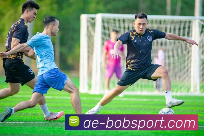 BOB足球APP 封面图